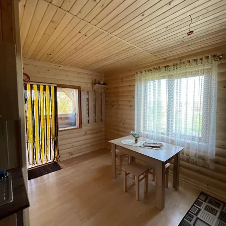 מלון Avalon - на озері Borysxaw